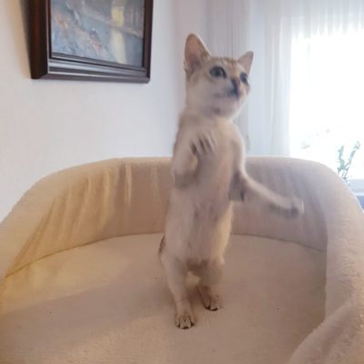 07288555-2607-40f4-a242-1fc55360241c