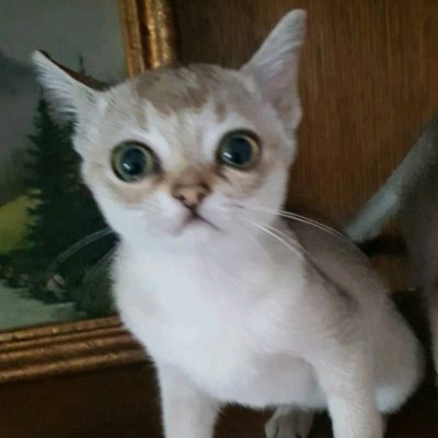 0e21bd3b-2812-4451-9281-4786f0d1f7dc