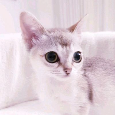 160f729c-c998-46db-a400-d937525640b5