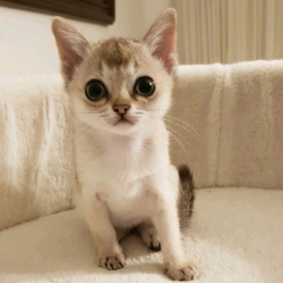 2b2a93a3-0a77-4763-b45b-99ec6f58869b