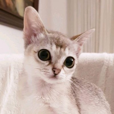 2b516990-8a05-4fe9-98d9-8222445aff27