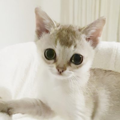 455b1931-56eb-4c83-a9d1-ef9b8ca88b82