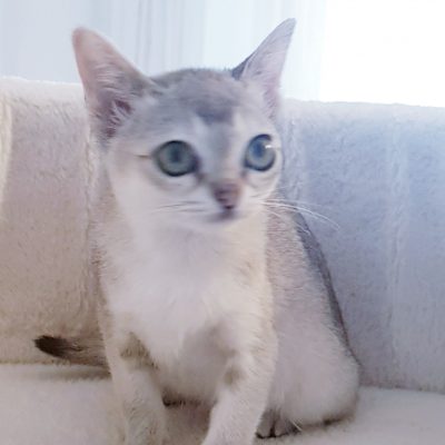 7ec9f567-98f5-4ba8-b6ae-ca2da0cea3bb