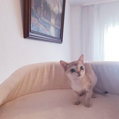 8aa1ee72-ff84-4754-8b8d-93a12c81d5cd