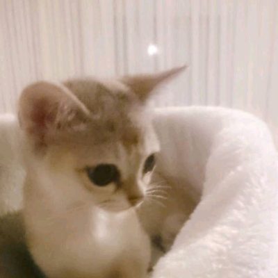 970a95ad-c029-4144-b8cf-a2f82de9bc97