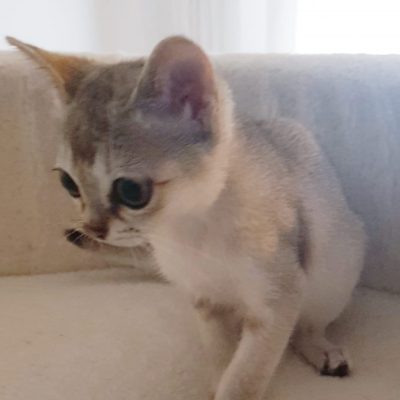 98c5d664-b730-447b-ade3-44e72d727732