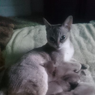 WhatsApp Image 2018-11-20 at 22.37.06