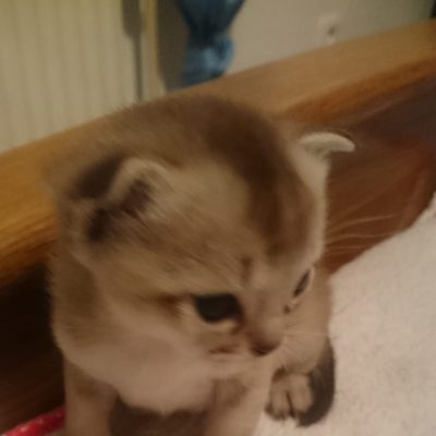 WhatsApp Image 2018-12-05 at 14.16.06