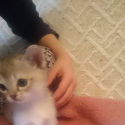 WhatsApp Image 2020-01-12 at 21.03.30