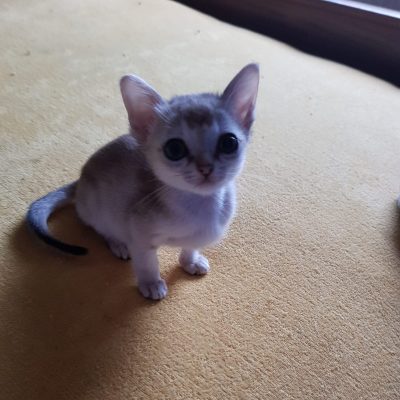 WhatsApp Image 2020-02-04 at 09.46.22