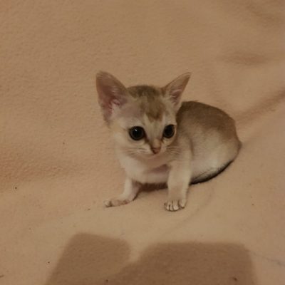 WhatsApp Image 2020-02-10 at 22.07.50