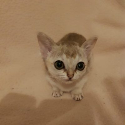 WhatsApp Image 2020-02-10 at 22.10.06