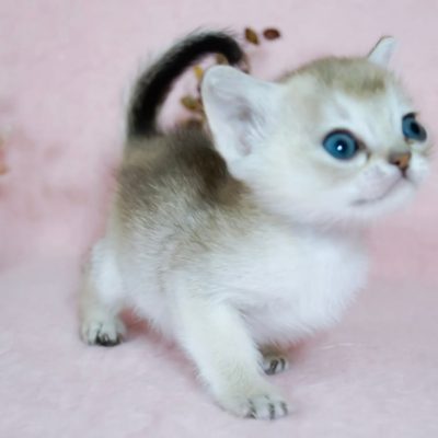 WhatsApp Image 2020-02-20 at 22.40.40 (1)