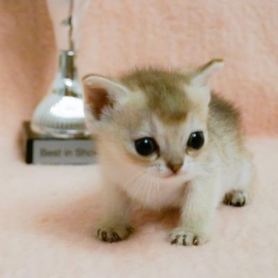 WhatsApp Image 2020-02-20 at 22.40.40 (2)