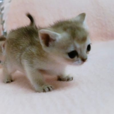 WhatsApp Image 2020-02-20 at 22.40.40