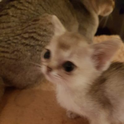 WhatsApp Image 2020-02-20 at 23.03.15