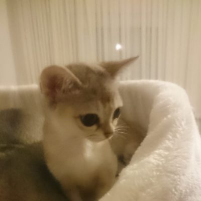 WhatsApp Image 2020-03-12 at 09.37.00