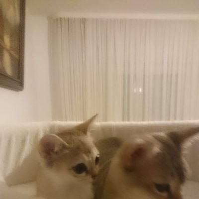 WhatsApp Image 2020-03-12 at 09.37.17