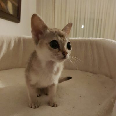 WhatsApp Image 2020-03-17 at 22.11.51