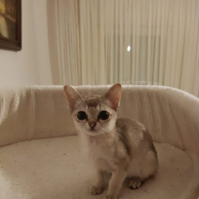 WhatsApp Image 2020-03-17 at 22.14.43