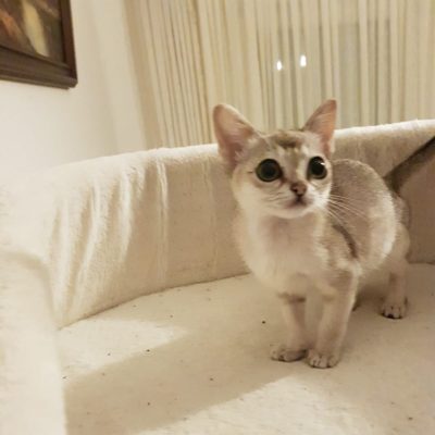 WhatsApp Image 2020-03-17 at 22.42.46 (2)