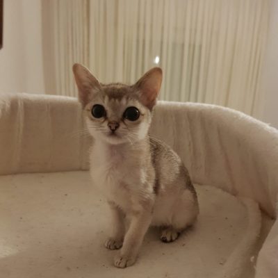 WhatsApp Image 2020-03-18 at 13.19.11