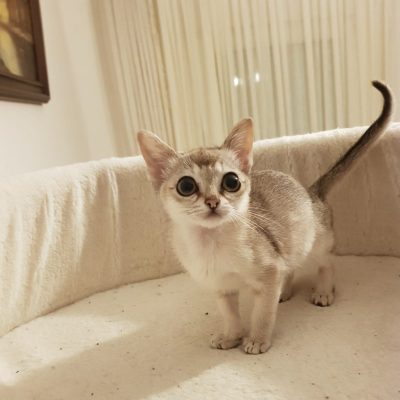 WhatsApp Image 2020-03-18 at 13.23.51