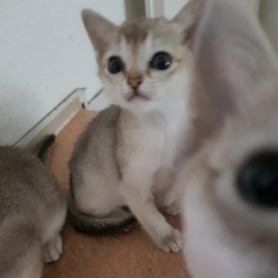 WhatsApp Image 2020-03-18 at 13.53.58