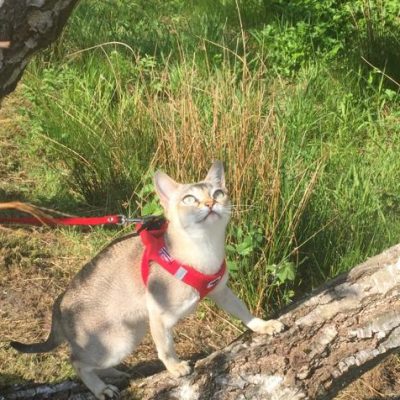 WhatsApp Image 2020-03-18 at 13.55.12