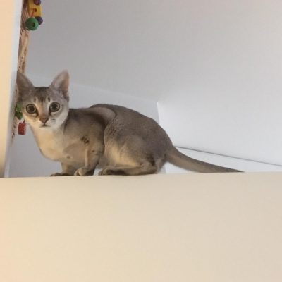 WhatsApp Image 2020-03-18 at 13.56.32