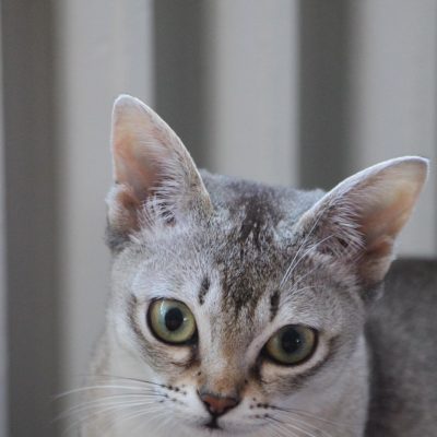 WhatsApp Image 2020-03-18 at 13.56.57