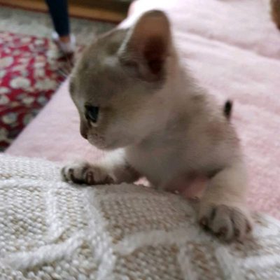 WhatsApp Image 2020-03-18 at 13.58.47