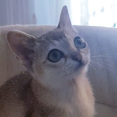 d2a379a0-65ed-4136-8355-9ff6f30f2836