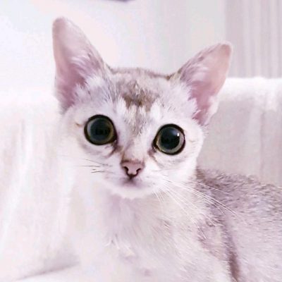 e7653a41-0829-4022-b939-a6e4067ea701