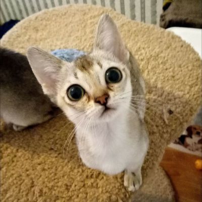 WhatsApp Image 2018-11-23 at 12.38.45