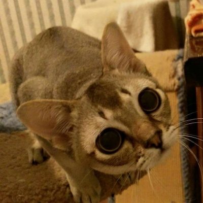 WhatsApp Image 2018-11-23 at 12.38.46 (1)