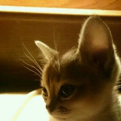 WhatsApp Image 2020-01-12 at 20.45.35