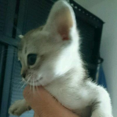 WhatsApp Image 2020-01-12 at 20.45.57