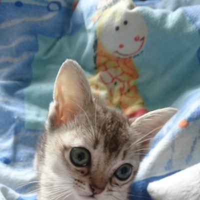 WhatsApp Image 2020-01-12 at 20.46.36