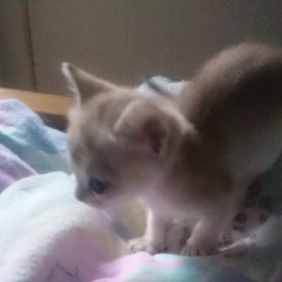 WhatsApp Image 2020-01-12 at 20.47.09