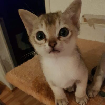 WhatsApp Image 2020-01-12 at 20.47.10 (1)