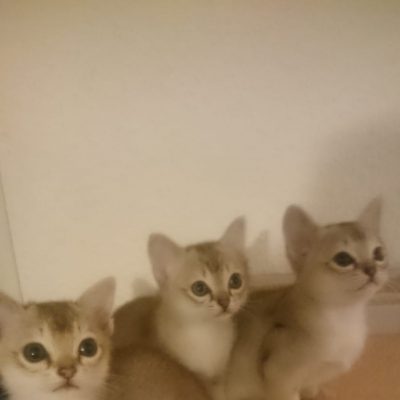 WhatsApp Image 2020-01-12 at 20.47.10